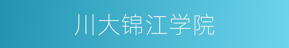 川大锦江学院的同义词