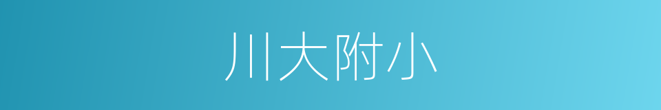 川大附小的同义词