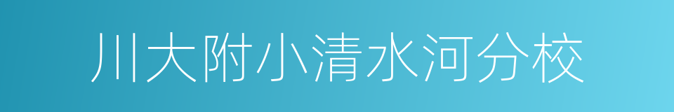 川大附小清水河分校的同义词