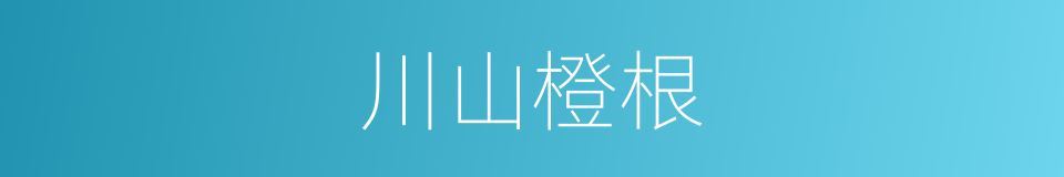 川山橙根的同义词