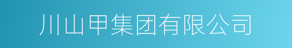 川山甲集团有限公司的同义词