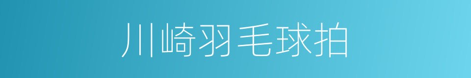 川崎羽毛球拍的同义词