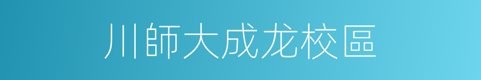 川師大成龙校區的同義詞