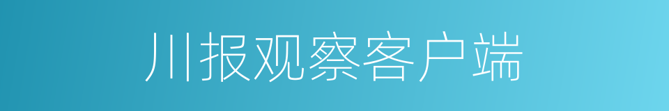 川报观察客户端的同义词