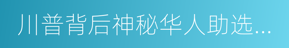 川普背后神秘华人助选团长的一天的同义词