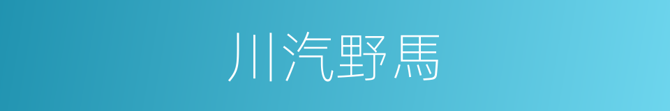 川汽野馬的同義詞