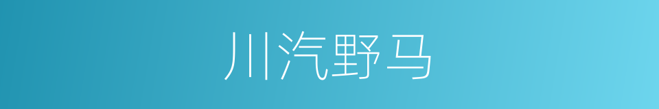川汽野马的同义词