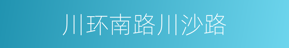 川环南路川沙路的同义词