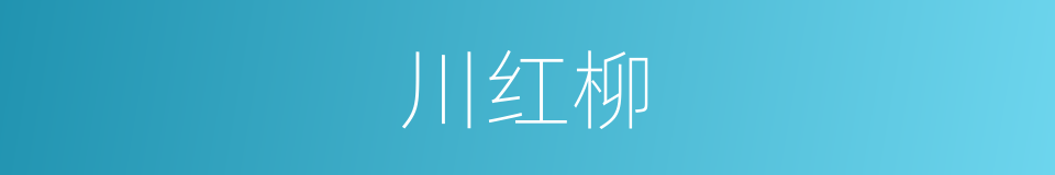 川红柳的同义词