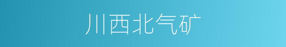 川西北气矿的同义词