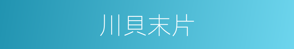 川貝末片的同義詞