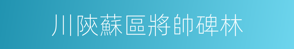 川陝蘇區將帥碑林的同義詞