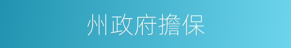 州政府擔保的同義詞