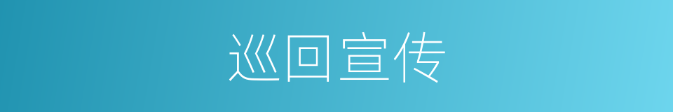 巡回宣传的同义词