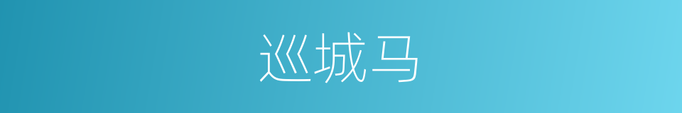 巡城马的同义词