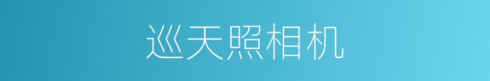 巡天照相机的同义词