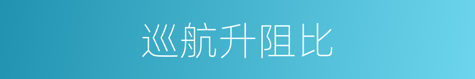 巡航升阻比的同义词
