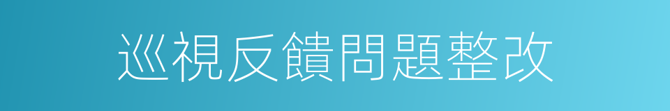 巡視反饋問題整改的同義詞
