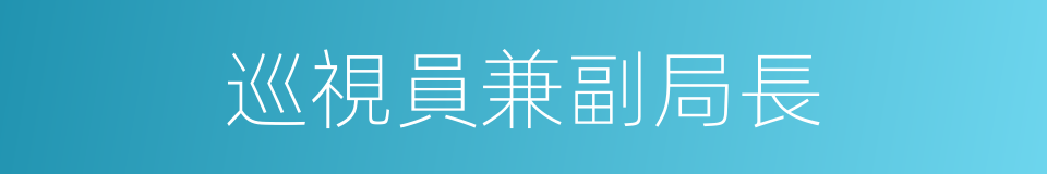 巡視員兼副局長的同義詞
