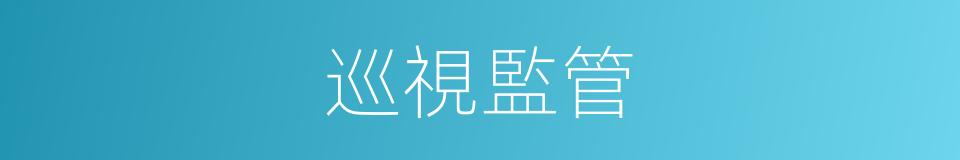 巡視監管的同義詞