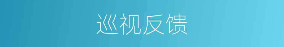 巡视反馈的同义词