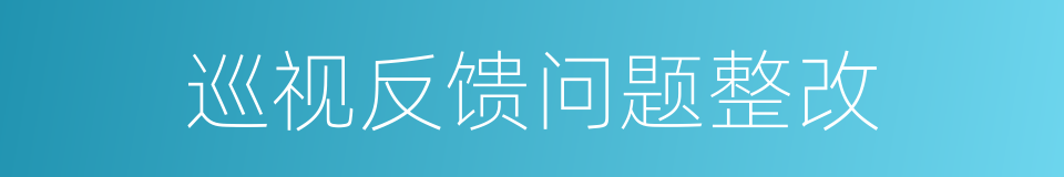 巡视反馈问题整改的同义词
