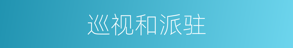 巡视和派驻的同义词