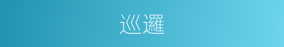 巡邏的意思