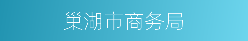 巢湖市商务局的同义词