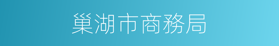 巢湖市商務局的同義詞