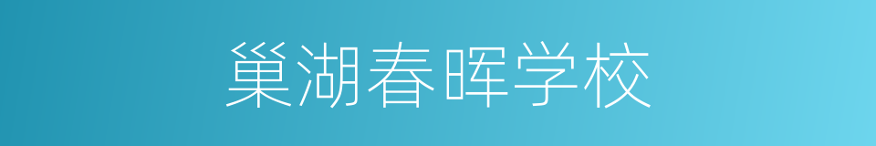 巢湖春晖学校的同义词