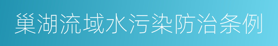 巢湖流域水污染防治条例的同义词