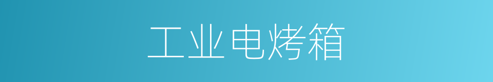 工业电烤箱的同义词