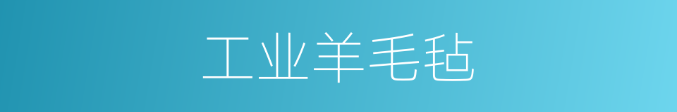 工业羊毛毡的同义词