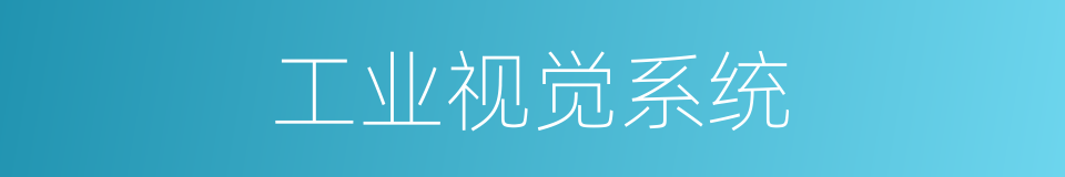 工业视觉系统的同义词