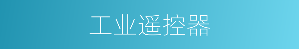 工业遥控器的同义词