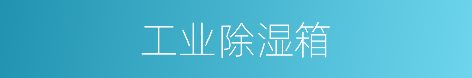 工业除湿箱的同义词