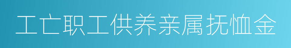 工亡职工供养亲属抚恤金的同义词