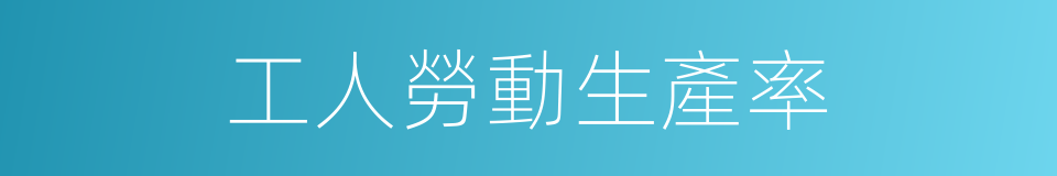 工人勞動生產率的同義詞