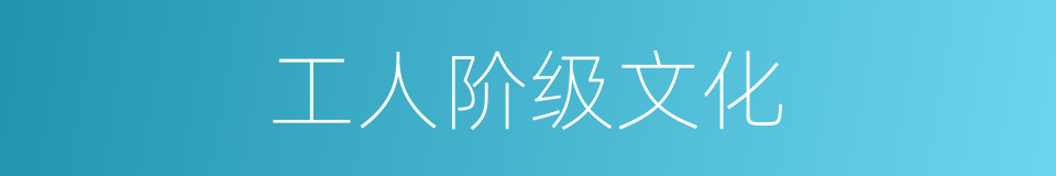 工人阶级文化的同义词