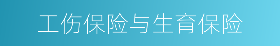 工伤保险与生育保险的同义词