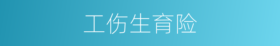 工伤生育险的同义词