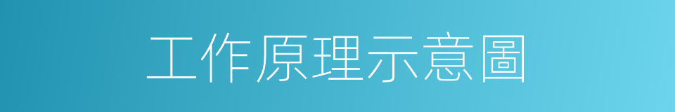 工作原理示意圖的同義詞