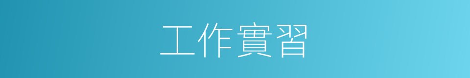 工作實習的同義詞
