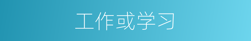 工作或学习的同义词