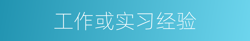 工作或实习经验的同义词