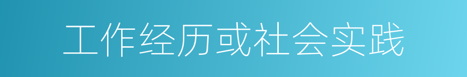 工作经历或社会实践的同义词