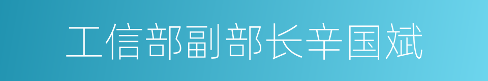 工信部副部长辛国斌的同义词