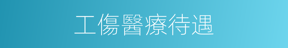 工傷醫療待遇的同義詞