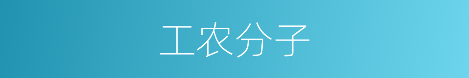 工农分子的同义词